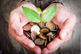 CN Domain Information